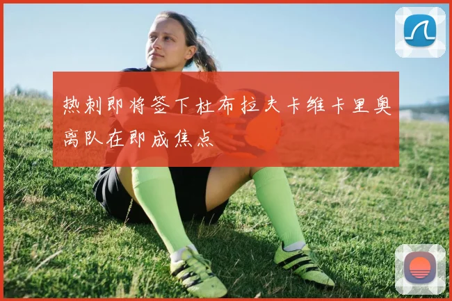 热刺即将签下杜布拉夫卡维卡里奥离队在即成焦点